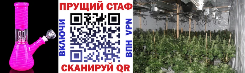 Купить наркотики сайты Санкт-Петербург МАРИХУАНА  МЕФ 