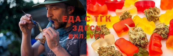индика Алзамай