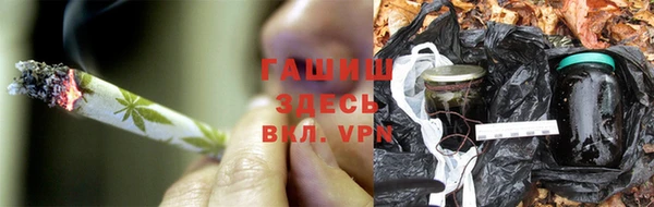 СК Алексин