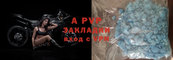 СК Алексин
