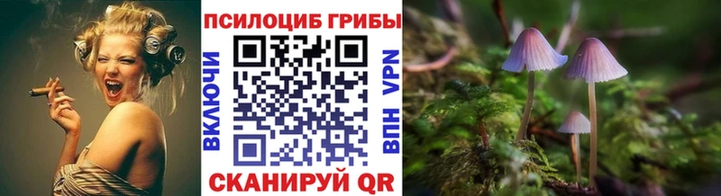 что такое   Санкт-Петербург  Псилоцибиновые грибы мицелий 